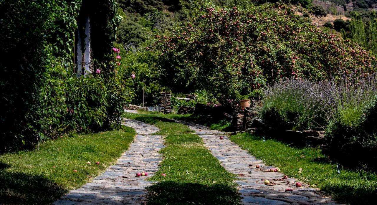 Casa Rural Catifalarga Alpujarra Capileira Exterior photo